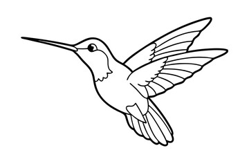 hummingbird hovering tiny body fast wings line line art vector silhouette on white background