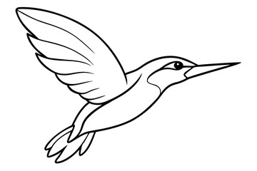 hummingbird hovering tiny body fast wings line art vector silhouette on a white background