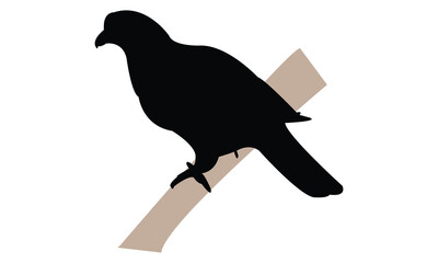 Yellow Footed Green Pigeon Silhouette Design  And Vector Illustration. 