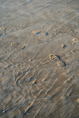 footprints in the sand