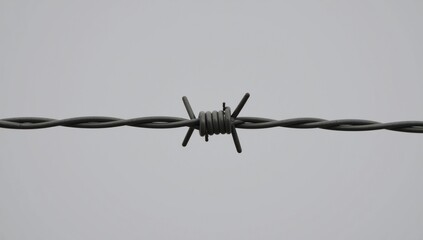 Close-up detail of barbed wire with focus on intricate twists and razor-sharp points