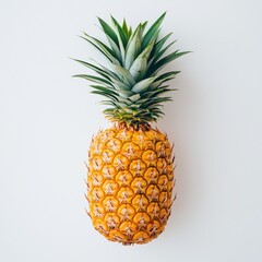 Fototapeta premium Pineapple harvesting action on isolated white background in nature scene