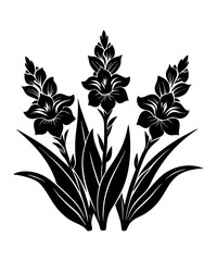 Black  And White Gladiolus Vector Style Silhouette Illustration