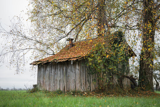 Trautes Heim I