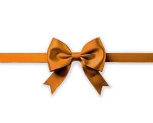 Fototapeta premium Ruban avec nœud orange fond transparent