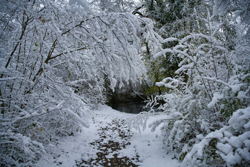 Winter im Grand Ried im Elsass