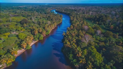 Aerial View of a Serpentine River Winding Through a Lush Tropical Forest