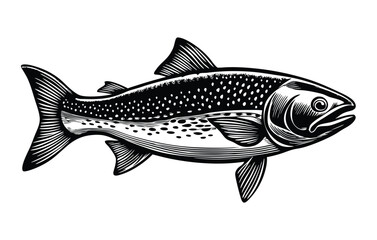 Fototapeta premium Salmon fish seafood sketch ink vector illustration on white background
