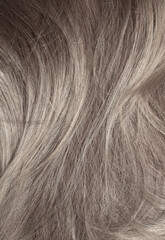 Blond hair close-up as a background. Women's long light brown hair. Beautifully styled wavy shiny curls. Hair coloring. Hairdressing procedures, extension.