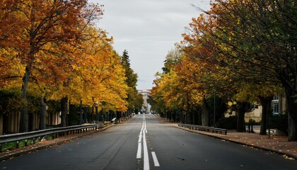 Obraz premium Empty road in city in autumn time 