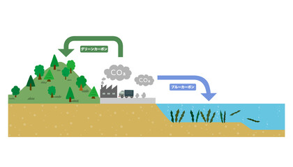ブルーカーボン、グリーンカーボン説明イラスト