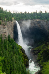 waterfall in the forest