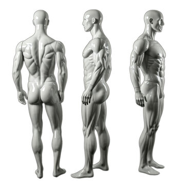 Set bundle white full body shiny glossy muscular male man mannequin doll dummy sculpture front back side view transparent cutout PNG Many different angle Mockup template artwork graphic design 300dpi
