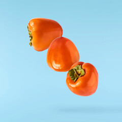 Fresh ripe Persimone fruit falling in the air isolated on blue background, food levitation or zero gravity conception