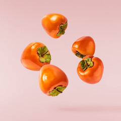 Fresh ripe Persimone fruit falling in the air isolated on pink background, food levitation or zero gravity conception