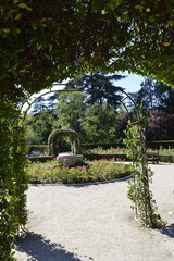 Arco verde em jardim