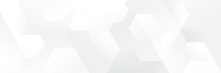Fototapeta premium Abstract white Geometric banner design background.