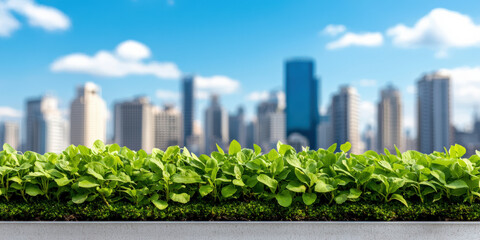 A vibrant green rooftop garden with a blurred city skyline in the background, showcasing urban greenery against a bright blue sky.