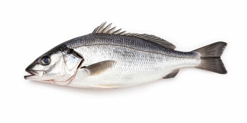 Fresh whole fish on a clean surface, ideal for culinary presentations and seafood recipes.