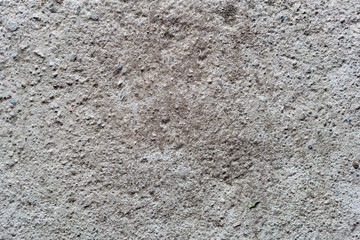 Stone Wall Texture with Cracks
