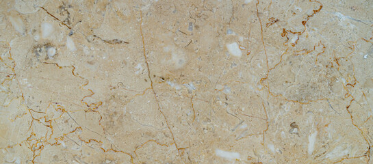 Stone Wall Texture with Cracks