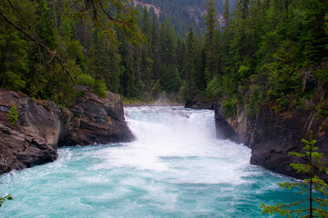 waterfall in the forest
