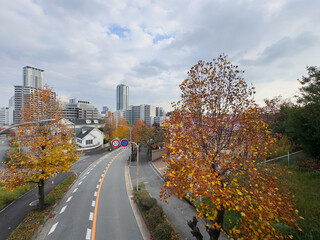 千里ニュータウン新千里西町（大阪府豊中市）のしんじゅ橋より