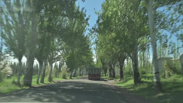 Camion andando por calle con arboles