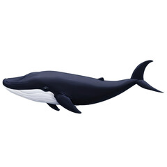 Obraz premium Sleek, dark-blue whale glides through the inky black water. Its white underbelly contrasts sharply against its dark body. A majestic creature of the deep.