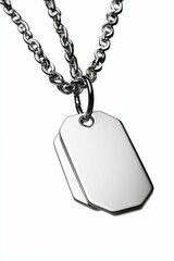 Fototapeta premium Silver chain necklace with blank dog tags.