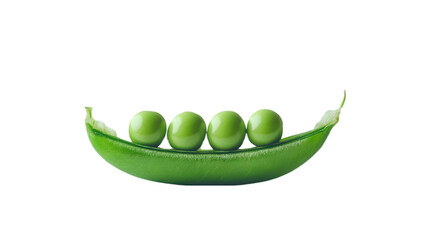 Green Pea Pod Illustration