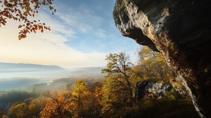 A mountain with a forest in the background