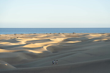 Las Dunas de Maspalomas es un espacio natural único en las Islas Canarias por su belleza y la variedad de ecosistemas que alberga.