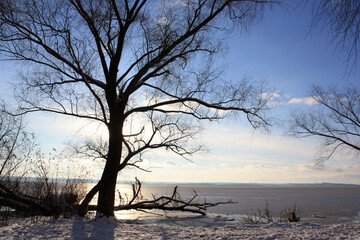 a snowy lake with a few trees and a sun shining on the water.