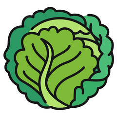 Nutrition Pack Icon,Cabbage Filled line Icon