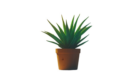 3D Render of Aloe Vera Plant in a Pot