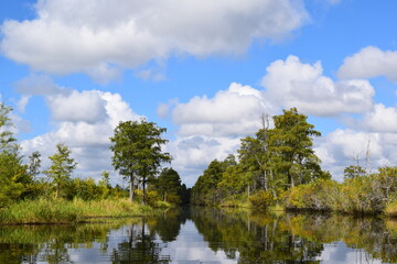 Clouds over the Okefenokee Swamp Georgia