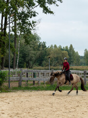 A young female rider on a Lusitano horse practices horseback riding in an outdoor arena surrounded by paddocks, meadows, and trees in a free-range stable. 