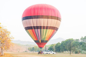 Hot air balloon over yellow flower fields against blue sky,Colorful Hot air balloons flying over the valley with blue sky,Travel and Tourism concept.