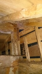 492)A japanese yellow hornet's nest in the attic on the first floor that had been attacked by a...