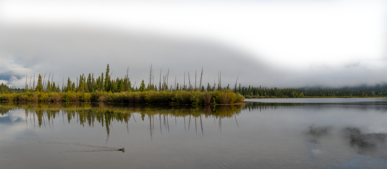 Early misty morning at autumn colored lake with cloudy sky fading to transparent. Vermillion Lake Banff
