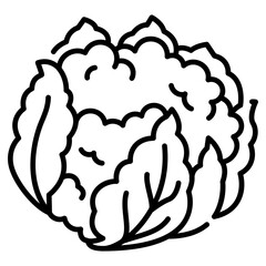 Fototapeta premium Nutrition Pack Icon,Cauliflower line Icon