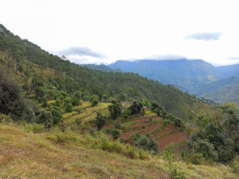 Farm in Mountain,  Pahadi Khet 