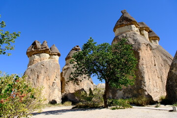 fairy chimneys hoodoo 
 rocks landscape at Monks Valley, Cappadocia, Turkey