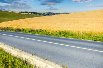 Empty asphalt road and wheat field mountains nature scenery