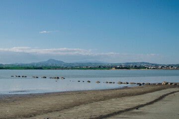 view of the salt lake where flamingos live, Larnaca, Cyprus