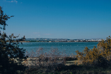 view of the salt lake where flamingos live, Larnaca, Cyprus