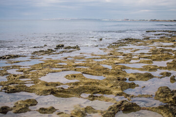a textured landscape of wet, rocky terrain with shallow pools of water, surface appears rugged and uneven, showcasing natural erosion patterns