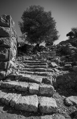 Ancient site of lato near Kritsa. © roostler