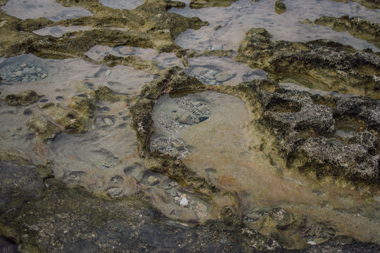 a textured landscape of wet, rocky terrain with shallow pools of water, surface appears rugged and uneven, showcasing natural erosion patterns